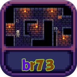 br73